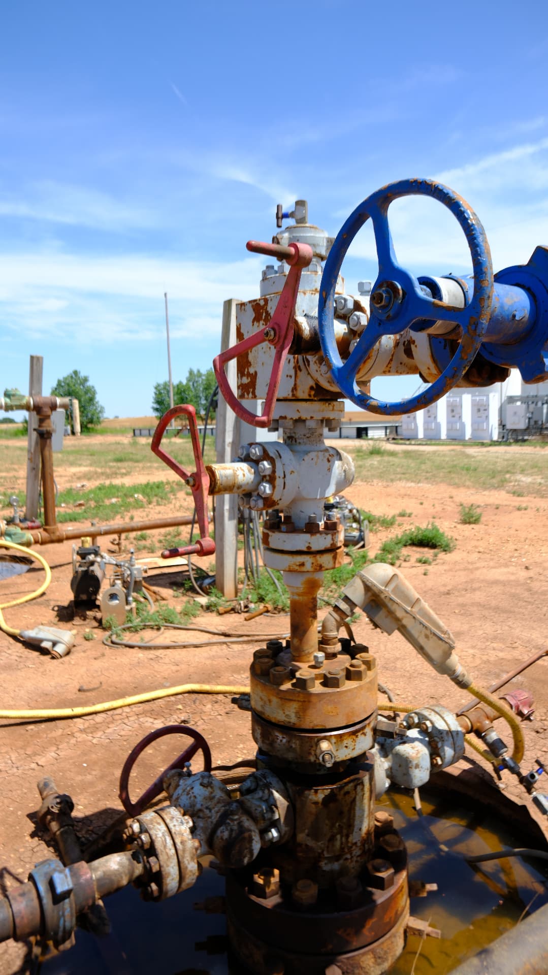 Wellhead and valve tree at a producing location